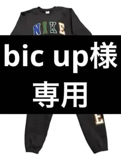 Bic up様専用NIKE 刺繍ロゴ セットアップ 希少カラー 上下セット