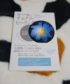 Item thumbnail for item 8795012d-2c15-44ec-b2bc-1fbfb469b9da