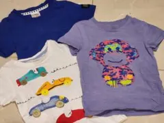 Item thumbnail for item 6fcb3cdd-7f56-4c33-bda6-0719cb2cfc54