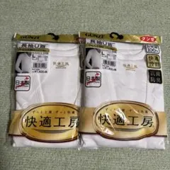 新品未使用　 GUNZE 快適工房 長袖U首 2枚セット Lサイズ
