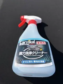 Item thumbnail for item 523afa9e-4c05-4819-8062-8c65a55d3c37