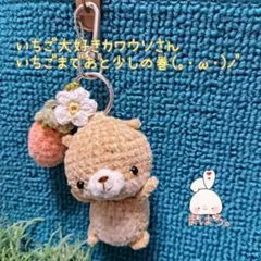 いちご大好きカワウソさん いちごまであと少しの巻(。・ω・)ノ゛