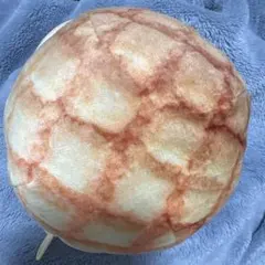 新品　セブンイレブン Happyくじ C賞 メロンパンのみ