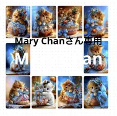 Mary Chanさん専用