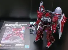 MG ガナーザクウォーリア ルナマリア・ホーク専用機 クリアカラー 取説付属品付