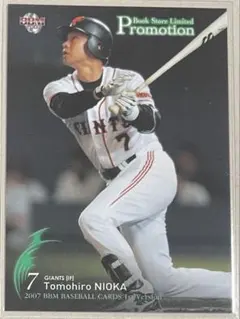 Item thumbnail for item 9c04a49c-bdb0-4b40-8b7b-fa1c0d944174