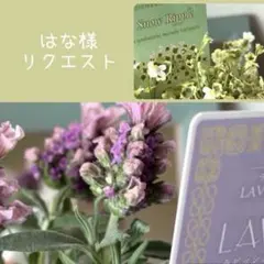 はな様　リクエスト　おまとめ2点