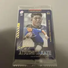 Item thumbnail for item 5f5caa94-fc89-4af8-8070-5c386fcc623e