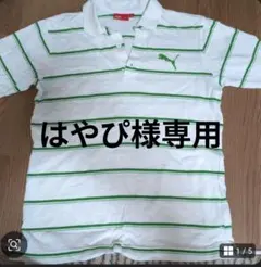 ポロシャツ　はやぴ様