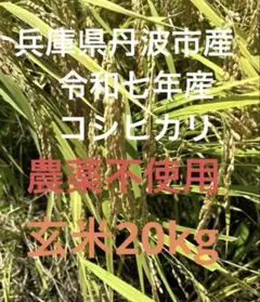 兵庫県丹波市産！ 令和7年産 農薬不使用 コシヒカリ玄米20kg - メルカリ