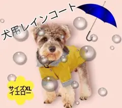 レインコート 犬 カッパ 雨具 ポンチョ 雪 雨 台風 ペット 防水 保護 XL