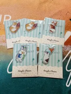 Mofusandアクリルチャーム (全4種）　5枚