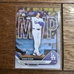 Item thumbnail for item a012715c-e866-466b-907f-b2ba75ba0200