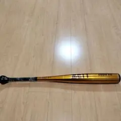 Item thumbnail for item cb83f968-1a66-4158-88fc-21a15d11286c