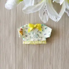 在庫整理‼️［l18 ］10センチ ぬい服