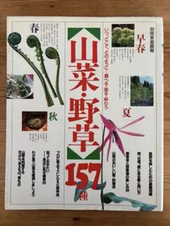 Item thumbnail for item 7f78c0a1-5220-46b0-adb5-3400f2bbf5de