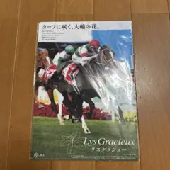 JRA Lys Gracieuse クリアファイル