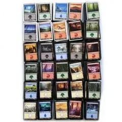 MTG 旧枠 日本語 基本地形 コンプリート 基本土地 コレクション 希少