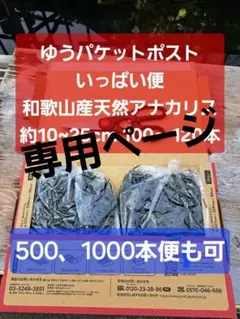 2026年最新】水草 種類：アナカリス 水草の人気アイテム - メルカリ