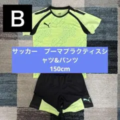 サッカー　プーマプラクティスシャツ&パンツ150cm
