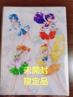 【値下　未開封・レア】セーラームーン∶ミュージアム限定クリアファイル【即購入可】