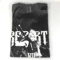 Item thumbnail for item 98a7fb55-c6b1-4b1f-b3ce-54f977d47281