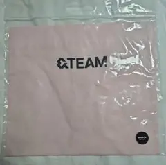 &TEAM　エコバッグ　weverse con2024