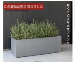 売り切れ品　slice a lemon まな板　スライスアレモン2枚セット 売り切れ品 slice a lemon まな板 スライスアレモン2枚セット - メルカリ