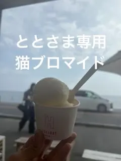 伊藤清子/まねきにゃん F6号 日本画猫 大幅値下げ中 - メルカリ
