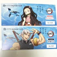 鬼滅の刃　サンシャインシティ　チケット風カード　水族館限定　ねずこ　天元