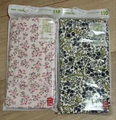 Item thumbnail for item 3dd02fea-9465-409b-aef0-956aa743616f