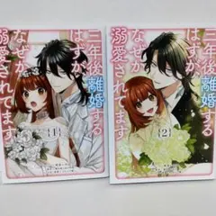 三年後離婚するはずがなぜか溺愛されてます