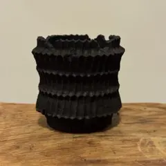 2025年最新】d.i.p 鉢の人気アイテム - メルカリ