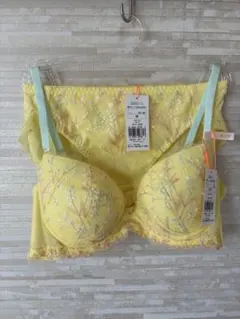 B75M」トリンプ チャーミングラマースリムライン フローラルハグ ブラショーツ