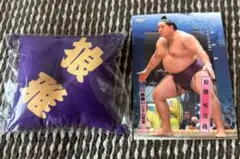 Item thumbnail for item ef5dd59a-d881-4077-a752-0ce67e441edd