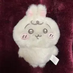 ちいかわ Chiikawa Baby キャベツに包まれたうさぎマスコット