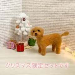 2025年最新】羊毛フェルトトイプードルの人気アイテム - メルカリ