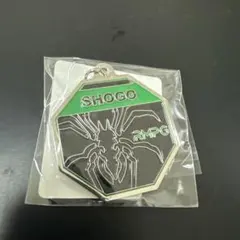 RAMPAGE 岩谷翔吾 メタルチャーム