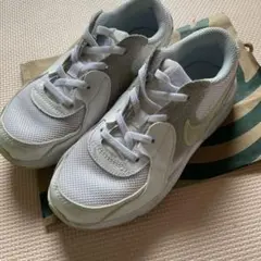 Nike Air Max スニーカー ホワイト　サイズ20センチ
