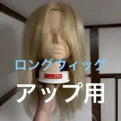 レジーナ LJ-002G 金髪 ブロンド ウィッグ ヘアアレンジ 美容学生 実習 レジーナ LJ-002G 金髪 ブロンド ウィッグ ヘアアレンジ 美容学生 実習