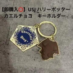 【即購入⭕️】USJ としまえん　ハリーポッター カエルチョコ　キーホルダー