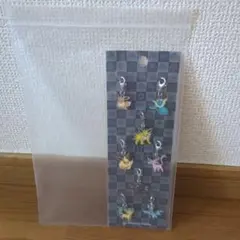 【引退】ポケモン メタルチャーム ブイズ