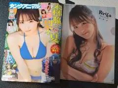 ヤングアニマル 　no.18 　森脇梨々夏クリアファイル付き