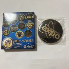 Item thumbnail for item 2b5ae1a3-bca3-45d3-b651-e6d30ac87756