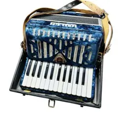 2026年最新】アコーディオンの人気アイテム - メルカリ