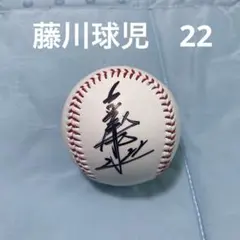 2025年最新】藤川球児サインボールの人気アイテム - メルカリ