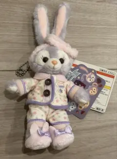 ステラルー　オータムスリープオーバー　ぬいぐるみバッジ　ディズニーシー　パジャマ