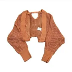 Item thumbnail for item 5cb89575-afec-45c4-b171-8703e5f268a6