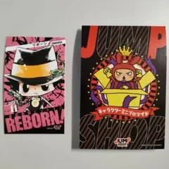 家庭教師ヒットマン REBORN! リボーン ジャンプショップ ミニブロマイド