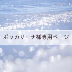 ポッカリーナ様 リクエスト 2点 まとめ商品